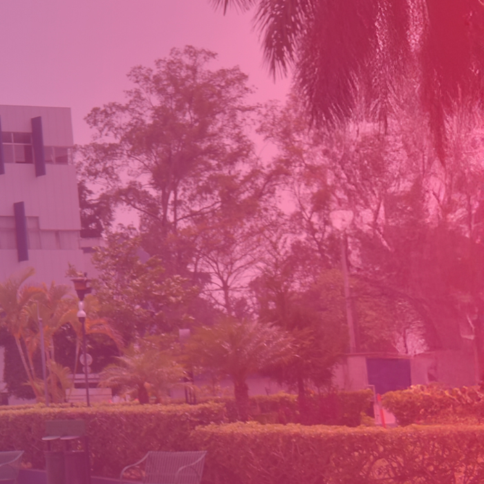 REGISTRO Y ESTADÍSTICA